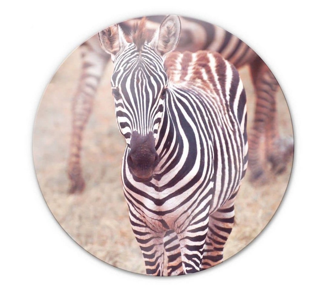 K&L Wall Art Gemälde Glas Wandbild Rund Glasbild Safari Tiere Afrika Zebra Fohlen, Wandschutz Deko Bilder von K&L Wall Art