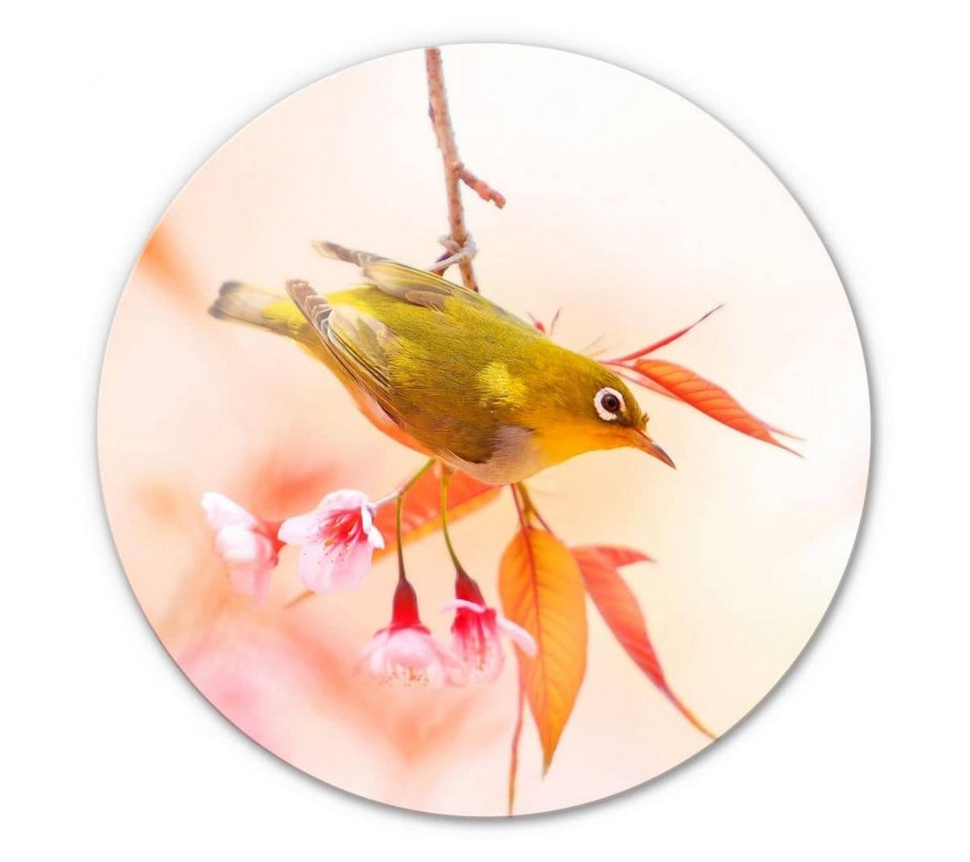 K&L Wall Art Gemälde Glas Wandbild Rund Glasbild Vogelgezwitscher Kirschblüte, Wandschutz Deko Bilder von K&L Wall Art