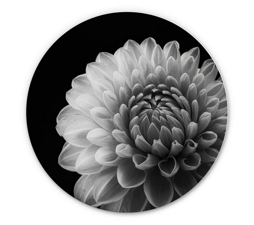 K&L Wall Art Gemälde Metallposter Dahlie Floral Blume schwarz-weiß Deko Grønkjær, Metalloptik Wandbild Ø 120cm von K&L Wall Art