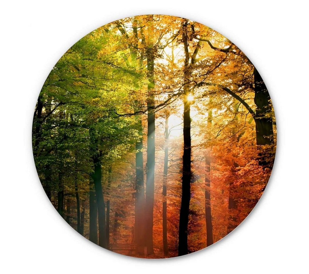 K&L Wall Art Gemälde Metallposter Goldener Herbst Landhaus Deko Wald Sonnenstrahlen, Metalloptik Wandbild Ø 45cm von K&L Wall Art