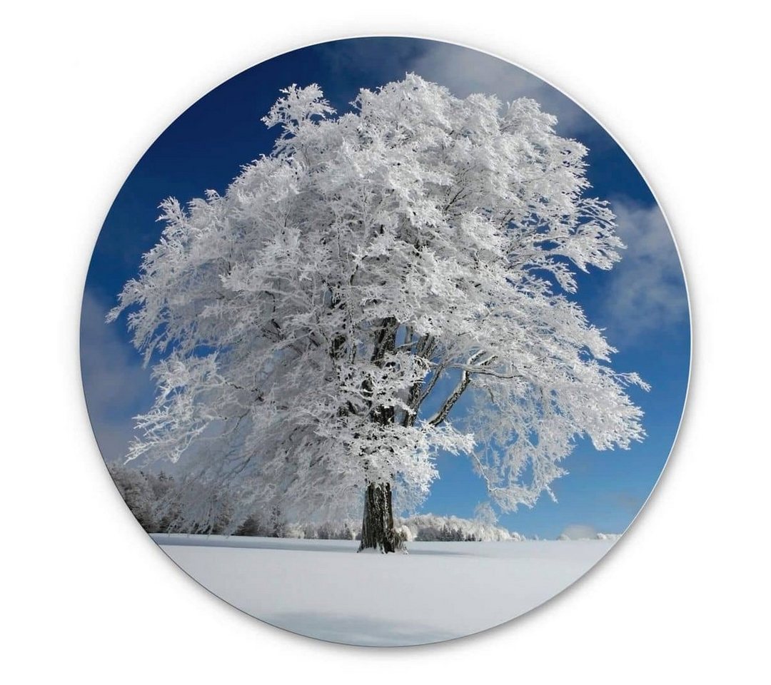 K&L Wall Art Gemälde Metallposter Rund Winter Buche Schnee Schwarzwald Schumacher, Metalloptik Wandbild Ø 120cm von K&L Wall Art