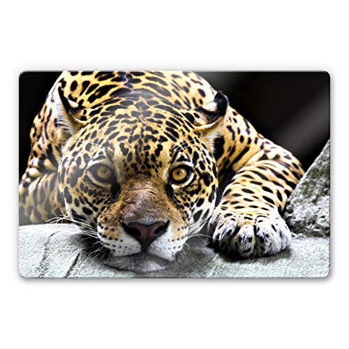 Leopard Glasbild Jaguar Wandbild aus Glas Wohnzimmer Safari Bilder Raubtier Katze Kinderzimmer 100x70cm von K&L Wall Art