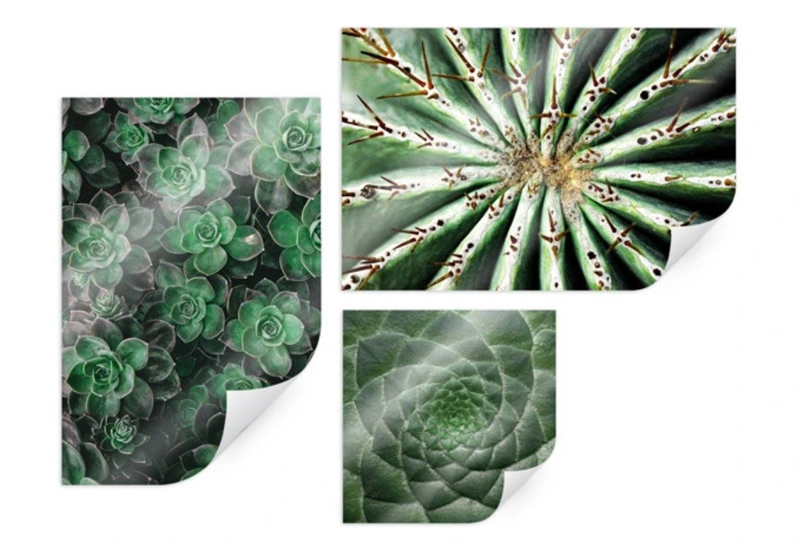 K&L Wall Art Poster Sukkulenten-Set (3-tlg), Kaktus Wüstenblume, Wohnzimmer Wandbild modern von K&L Wall Art