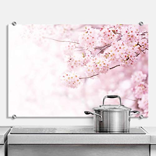 Pfannen Spritzschutz Küche Glas Küchenrückwand Kirschblüten Motiv Herd mit Klemmhalterung Edelstahl 80x60cm von K&L Wall Art