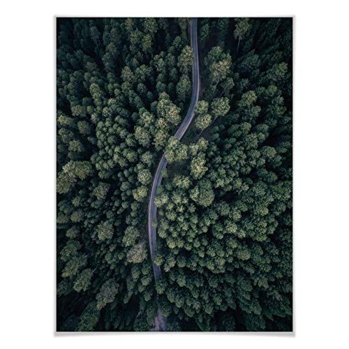 Poster Lopez Der Blick von oben: Straße im Wald Wandbild Deko Landschaft Natur Bäume Kurve Straße Fotografie Vogelperspektive ohne Zubehör von K&L Wall Art