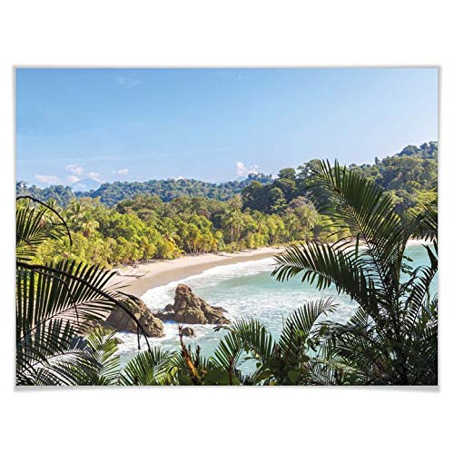 Poster Matteo Colombo Dschungelblick in Costa Rica Fotografie Strand Meer Reise Palmen Wald Natur Landschaft ohne Zubehör 80 von K&L Wall Art