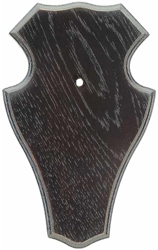 Gehörnbrett Eiche mit Kiefereinlage Rehbock Gamswild Hell Dunkel Set mit Gehörnklammer, Braun (Dunkel 9 x 12, 1) von K & S