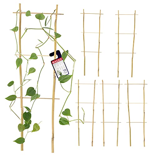 KADAX Bambusleiter, 5er Set, Stützleiter für Blumen, Garten-Pflanzenstütze aus Bambusholz, Blumengitter, Rankhilfe, Gitterspalier V-Form, Kletterhilfe (H:45cm, doppelt) von KADAX