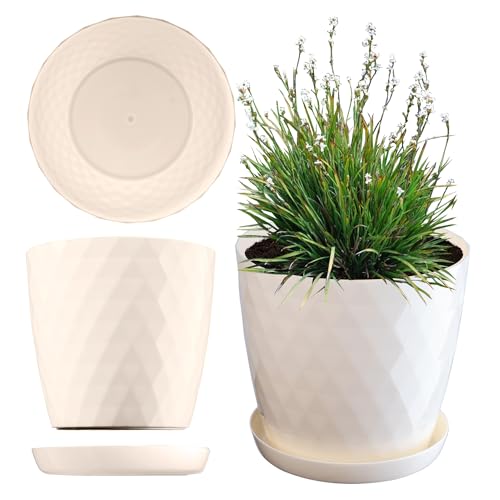 KADAX Blumentopf, EIN Topf für Blumen und Pflanzen mit Untersetzer, Pflanzkübel leichtes und beständiges Material EIN dekorativer Topf für Pflanzen (12cm, Creme) von KADAX