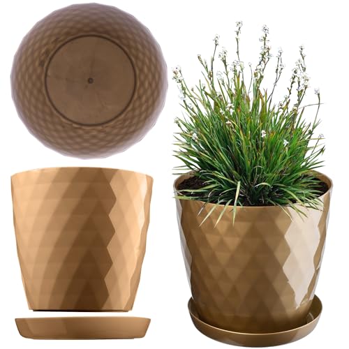 KADAX Blumentopf, EIN Topf für Blumen und Pflanzen mit Untersetzer, Pflanzkübel leichtes und beständiges Material EIN dekorativer Topf für Pflanzen (14cm, Gold) von KADAX