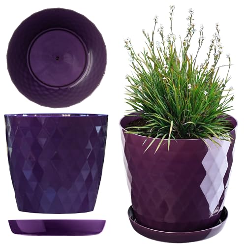 KADAX Blumentopf, EIN Topf für Blumen und Pflanzen mit Untersetzer, Pflanzkübel leichtes und beständiges Material EIN dekorativer Topf für Pflanzen (14cm, Violett) von KADAX