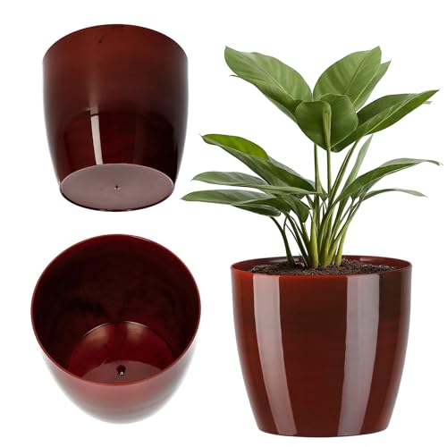 KADAX Blumentopf, Pflanzkübel, runder Blumenkübel aus Kunststoff, Topf für Kakteen, Farne, glänzender Übertopf für Balkon, Wohnung und Terrasse (⌀ 12cm, Rot) von KADAX