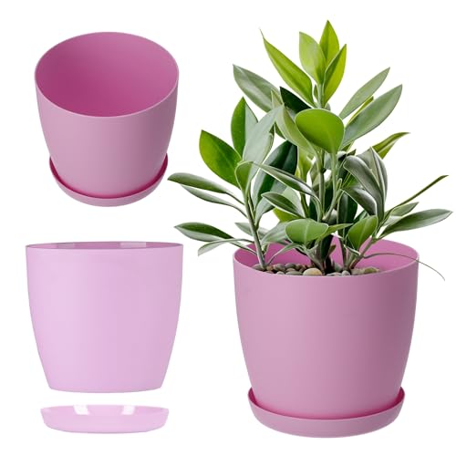 KADAX Blumentopf, Pflanzkübel mit Untersetzer, runder Blumenkübel aus Kunststoff, Matte Topf für Kakteen, Farne, glänzender Übertopf für Balkon, Wohnung und Terrasse (⌀ 12cm, Rosa) von KADAX