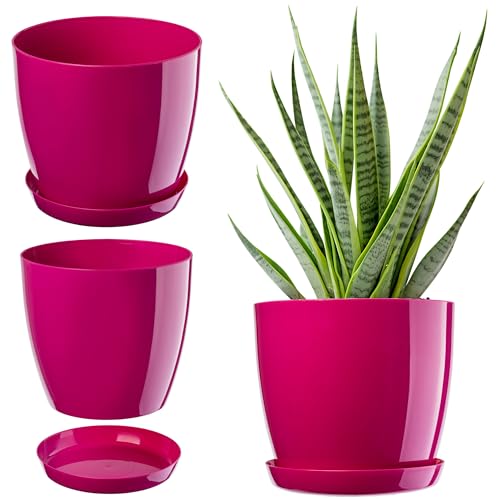 KADAX Blumentopf, Pflanzkübel mit Untersetzer, runder Blumenkübel für Innen, eleganter Pflanztopf aus Kunststoff, Übertopf für Blumen, Pflanzen, Haus, leichtes Pflanzgefäß (Ø 14 cm, amarantrot) KADAX Blumentopf, Pflanzkübel mit Untersetzer, runder Blumenkübel für Innen, eleganter Pflanztopf aus Kunststoff, Übertopf für Blumen, Pflanzen, Haus, leichtes Pflanzgefäß (Ø 14 cm, amarantrot) von KADAX