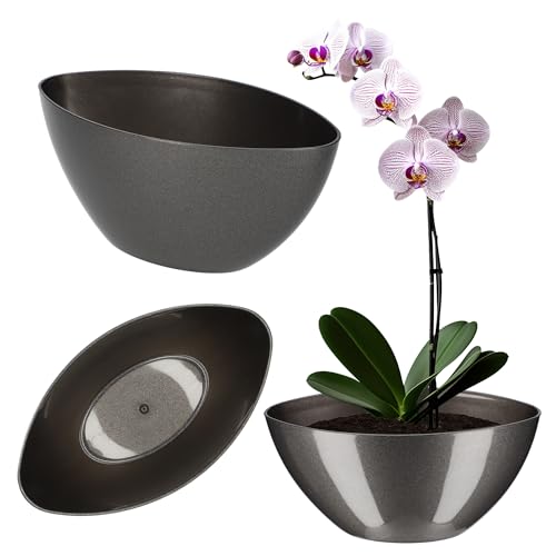 KADAX Blumentopf, ovaler Übertopf, Pflanztopf aus Kunststoff, Blumenübertopf, Deko, Pflanzkübel für Innen, Blumen, Pflanzen, Balkon, Blumenkübel, Pflanzgefäß, Moderne Form (21 x 12 cm, Anthrazit) KADAX Blumentopf, ovaler Übertopf, Pflanztopf aus Kunststoff, Blumenübertopf, Deko, Pflanzkübel für Innen, Blumen, Pflanzen, Balkon, Blumenkübel, Pflanzgefäß, Moderne Form (21 x 12 cm, Anthrazit) von KADAX