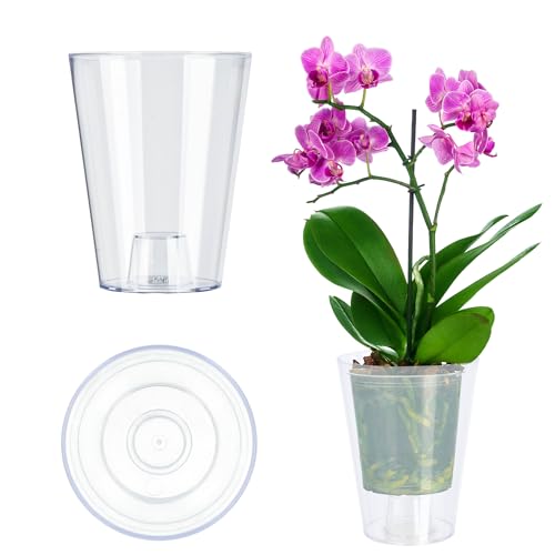 KADAX Blumentopf, schlanker Orchideentopf, Schlichter Pflanzkübel, Blumenkübel für Orchidee, Knabenkraut, Gänseblümchen, Übertopf für Küche und Wohnzimmer (⌀ 12cm, rund, Transparent) von KADAX