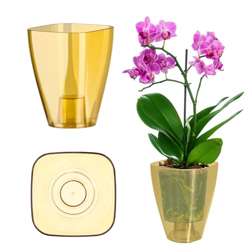 KADAX Blumentopf, schlanker Orchideentopf, Schlichter Pflanzkübel, Blumenkübel für Orchidee, Knabenkraut, Gänseblümchen, Übertopf für Küche und Wohnzimmer (⌀ 9cm, eckig, Honig) von KADAX