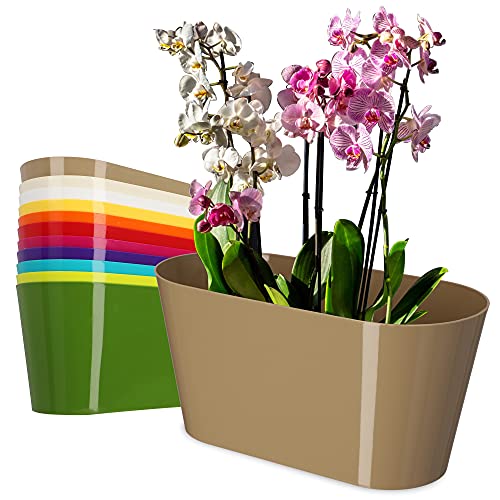 KADAX Blumentopf aus Kunststoff, 27 x 13 cm, breiter Topf, ovaler Pflanzentopf, Blumenübertopf für Orchideen, Bellis, Stiefmütterchen, Drazänen (Beige) von KADAX