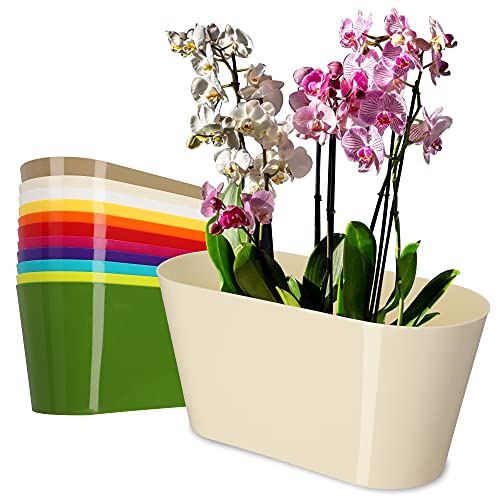 KADAX Blumentopf aus Kunststoff, 27 x 13 cm, breiter Topf, ovaler Pflanzentopf, Blumenübertopf für Orchideen, Bellis, Stiefmütterchen, Drazänen (Ecru) von KADAX