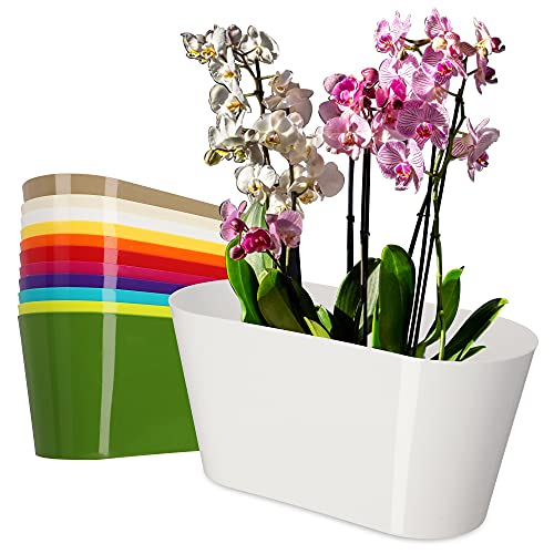 KADAX Blumentopf aus Kunststoff, 27 x 13 cm, breiter Topf, ovaler Pflanzentopf, Blumenübertopf für Orchideen, Bellis, Stiefmütterchen, Drazänen (Weiß) von KADAX