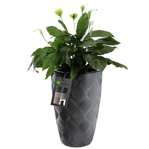 KADAX Blumentopf mit Einsatz und Griffen, Pflanzkübel aus Kunststoff in 5 Größen, UV-Resistenter Topf, Wetterbeständige Pflanzvase hoch, Topf mit 3D Effekt (Anthrazit Höhe: 58,5 cm) von KADAX