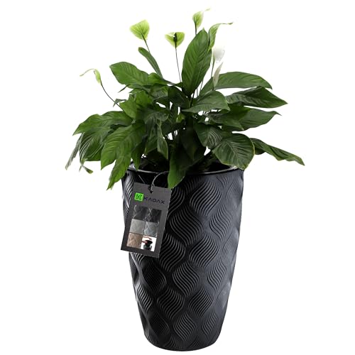 KADAX Blumentopf mit Einsatz und Griffen, Pflanzkübel aus Kunststoff in 5 Größen, UV-Resistenter Topf, Wetterbeständige Pflanzvase hoch, Topf mit 3D Effekt (Schwarz Höhe: 58,5 cm) von KADAX
