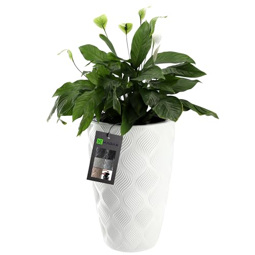 KADAX Blumentopf mit Einsatz und Griffen, Pflanzkübel aus Kunststoff in 5 Größen, UV-Resistenter Topf, Wetterbeständige Pflanzvase hoch, Topf mit 3D Effekt (Weiß Höhe: 58,5 cm) von KADAX