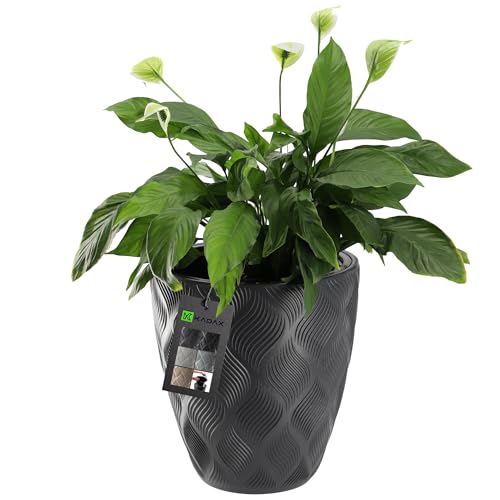 KADAX Blumentopf mit Einsatz und Griffen, Pflanzkübel aus Kunststoff in 5 Größen, UV-Resistenter Topf, Wetterbeständige Pflanzvase hoch, Topf mit 3D Effekt (anthrazit niedrig) von KADAX