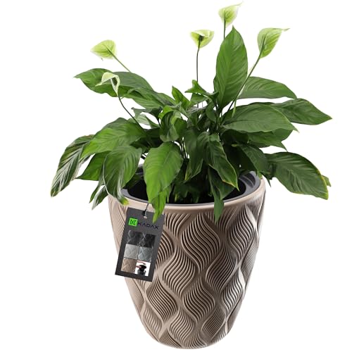 KADAX Blumentopf mit Einsatz und Griffen, Pflanzkübel aus Kunststoff in 5 Größen, UV-Resistenter Topf, Wetterbeständige Pflanzvase hoch, Topf mit 3D Effekt (beige niedrig) von KADAX