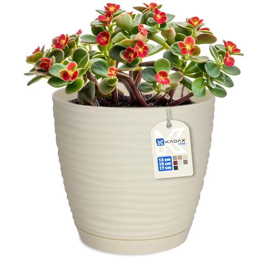 KADAX Blumentopf mit Untersetzer, Blumenkübel, Pflanzkübel für Innen, Leichter Pflanztopf aus Kunststoff, Übertopf für Blumen, Pflanzen, Haus, Zimmer, Pflanzgefäß (15cm, Creme) von KADAX