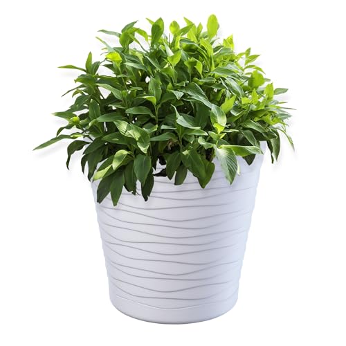 KADAX Blumentopf mit Untersetzer, Pflanzkübel für Innen, Leichter Blumenkübel, Pflanztopf aus Kunststoff, runder Übertopf für Blumen, Pflanzen, Haus, Pflanzgefäß (19cm, Weiß) von KADAX