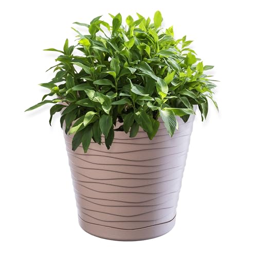 KADAX Blumentopf mit Untersetzer, Pflanzkübel für Innen, Leichter Blumenkübel, Pflanztopf aus Kunststoff, runder Übertopf für Blumen, Pflanzen, Haus, Pflanzgefäß (21cm, Beige) von KADAX