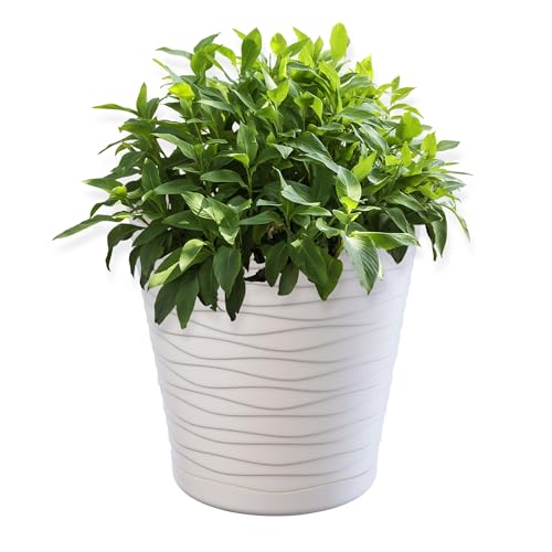 KADAX Blumentopf mit Untersetzer, Pflanzkübel für Innen, Leichter Blumenkübel, Pflanztopf aus Kunststoff, runder Übertopf für Blumen, Pflanzen, Haus, Pflanzgefäß (21cm, Creme) von KADAX