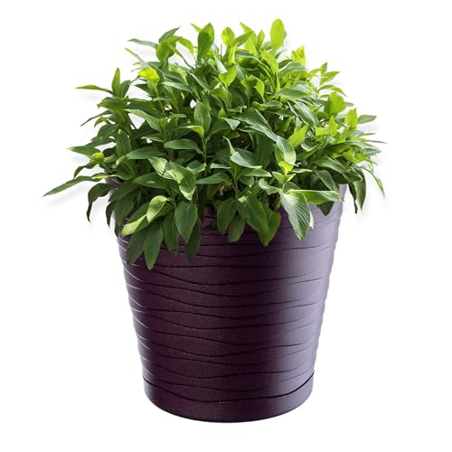 KADAX Blumentopf mit Untersetzer, Pflanzkübel für Innen, Leichter Blumenkübel, Pflanztopf aus Kunststoff, runder Übertopf für Blumen, Pflanzen, Haus, Pflanzgefäß (13cm, Violett) von KADAX