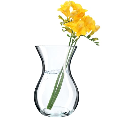 KADAX Blumenvase, 18cm Vase aus Glas, ⌀8cm Glasblumenvase mit einem 11cm Hals, Durchsichtige Tischvase, Klarglasvase, Glasvase für Blumen, Dekovase für Wohnzimmer (18cm / 1 Stück) von KADAX