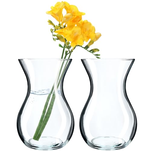 KADAX Blumenvase, 18cm Vase aus Glas, ⌀8cm Glasblumenvase mit einem 11cm Hals, Durchsichtige Tischvase, Klarglasvase, Glasvase für Blumen, Dekovase für Wohnzimmer (18cm / 2 Stück) von KADAX