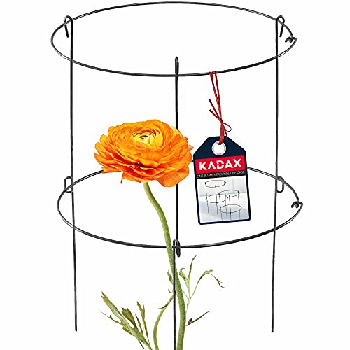 KADAX Gartenstütze aus Stahl pulverbeschichtet, Pflanzehalter, Blumenstütze, Pflanzestütze, Rankhilfe für Pflanzen, Garten, Balkon, Staudenhalter (Höhe: 60,5 cm) von KADAX