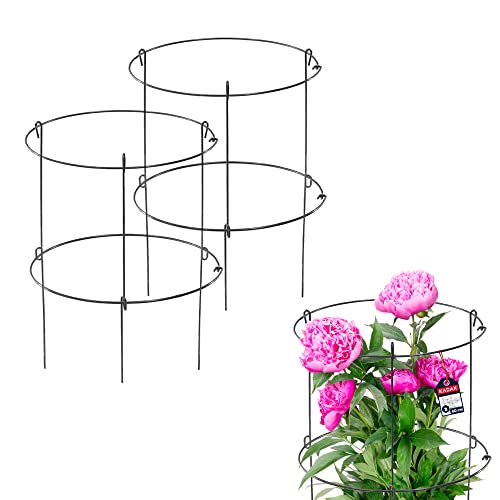 KADAX 3X Gartenstütze aus Stahl pulverbeschichtet Set, Pflanzehalter, Blumenstütze, Pflanzestütze, Rankhilfe für Pflanzen, Garten, Balkon, Staudenhalter (Set x3: Höhe: 60,5 cm) von KADAX
