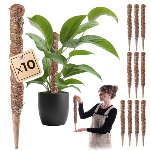 KADAX Monstera Rankhilfe – 10er Set Pflanzstab aus Kokosfaser (45cm), Kokosstab & Moosstab für Zimmerpflanzen, Kletterhilfe & Pflanzenstütze für Innen- und Außenbereich von KADAX