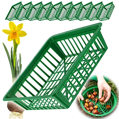 KADAX Pflanzkorb für Blumenzwiebeln, Anzuchtskorb aus Kunststoff, Anzuchtsschale für Gemüsepflanzen, Blumenzwie-belkorb in 2 Formen für Frühjahrsblüher (28x26cm, 10 Stück Set) von KADAX