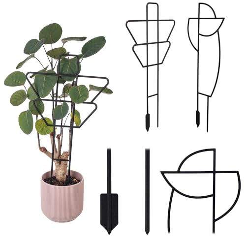 KADAX Rankhilfe für Zimmerpflanzen, 2er-Set in Schwarz, dekoratives Rankgitter aus Kunststoff, Pflanzenstütze für Kletterpflanzen (Geometrisch, Modell 2) von KADAX