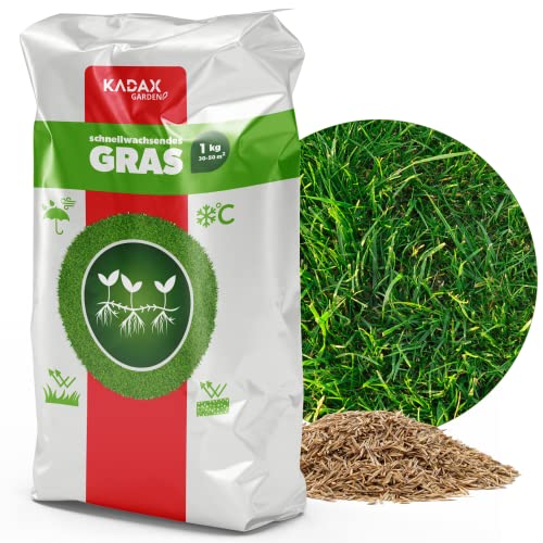 KADAX Rasensamen, Grassamen 1 KG, schnellwachsendes Gras, Rasenpellets, schnellkeimender Rasensamen, Rasensaat, Grassaat resistent gegen Frost, Rasen von KADAX