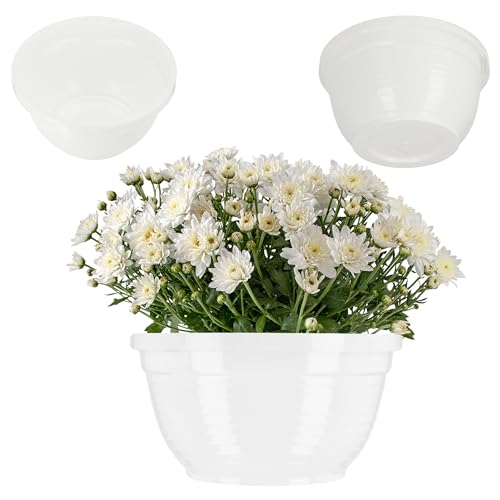 KADAX Schale aus Kunststoff, runde Blumenschale, wetterfester Pflanzkübel für Außen, Grabschale, leichte Kugelschale für Blumen, Pflanzschale (⌀ 26 cm, weiß) von KADAX