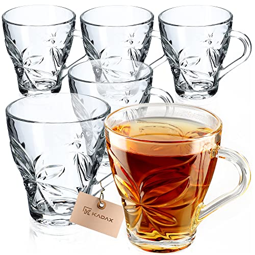 KADAX Teegläser, 6er Set, Gläser mit Griff, Wassergläser, Saftgläser, Glastassen, Gläserset für Tee, Kaffee, Wasser, Drink, Eistee, Saft, Garten, Trinkgläser, spülmaschinenfest (Anna, 250ml) von KADAX