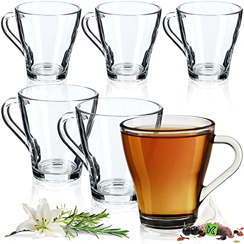 KADAX Teegläser, 6er Set, Gläser mit Griff, Wassergläser, Saftgläser, Glastassen, Gläserset für Tee, Kaffee, Wasser, Drink, Eistee, Saft, Garten, Trinkgläser, spülmaschinenfest (Beate, 250ml) von KADAX