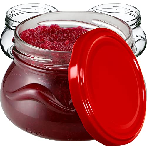 KADAX kleine Einmachgläser 300 ml, Miniaturgläser für Honig und Gewürze, Marmeladengläser mit Deckel, Luftdichte Gläschen zum Verschenken (Rot 20 Stück) von KADAX