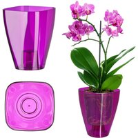 Blumentopf, Orchideentopf, Topf für Orchidee, eckig, 12 cm, Violett - Kadax Blumentopf, Orchideentopf, Topf für Orchidee, eckig, 12 cm, Violett - Kadax von KADAX