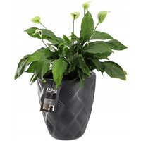 Kadax - Blumentopf mit Einsatz und Griffen, Pflanzkübel aus Kunststoff in 5 Größen, UV-Resistenter Top Kadax - Blumentopf mit Einsatz und Griffen, Pflanzkübel aus Kunststoff in 5 Größen, UV-Resistenter Top von KADAX