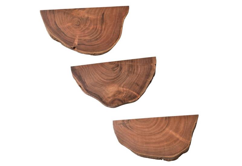 Wohnling Wandregal Wandregal 3er Set Akazie Vollholz Hängeregal Baumscheibe, Natur, Pflanzentreppe für die Wand, Schweberegal Hängend mit Baumkante, Pflanzentreppe für die Wand, Schweberegal Hängend mit Baumkante von Wohnling