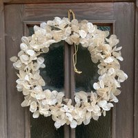 Winterdeko Weißer Kranz Silberblatt Ø 50 cm Türkranz Wandkranz Tischkranz Osterkranz Frühjahrskranz Verandakranz Geschenk Für Hochzeit Winterdeko Weißer Kranz Silberblatt Ø 50 cm Türkranz Wandkranz Tischkranz Osterkranz Frühjahrskranz Verandakranz Geschenk Für Hochzeit von KADOpurenature